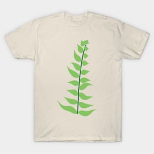 Abigail's Safari Fern Lispe T-Shirt